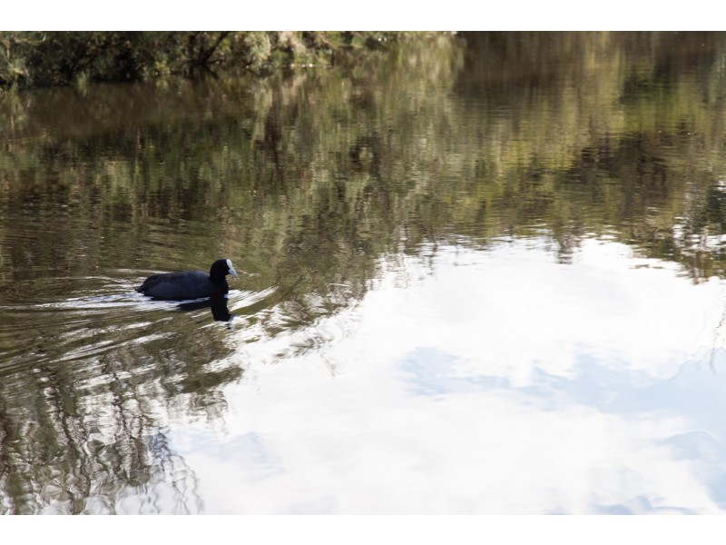 8 Poso Place, Atwell WA 6164