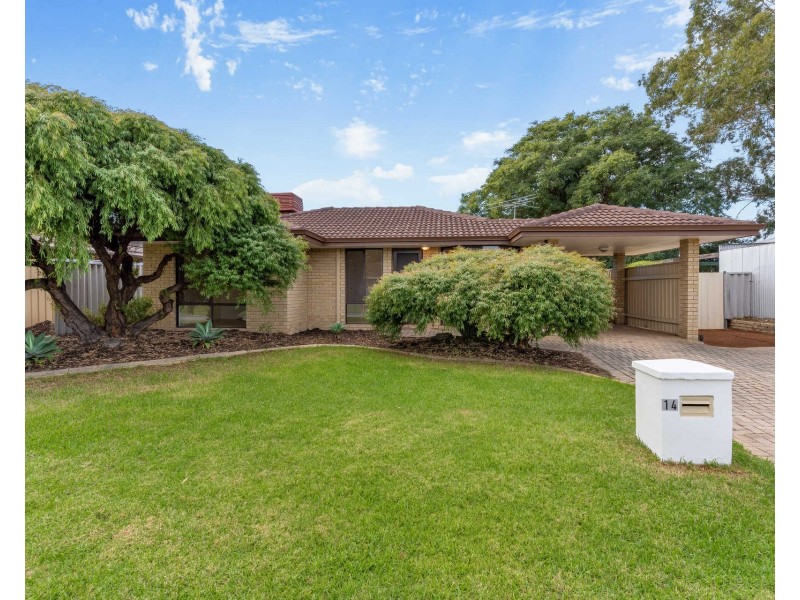 14 Logan Court, Seville Grove WA 6112