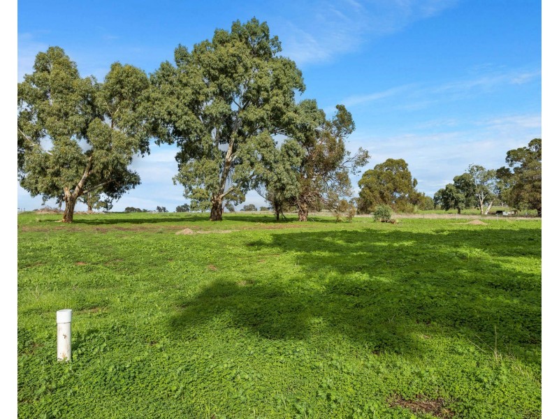 84 Carnaby Boulevard, Ginginup WA 6503