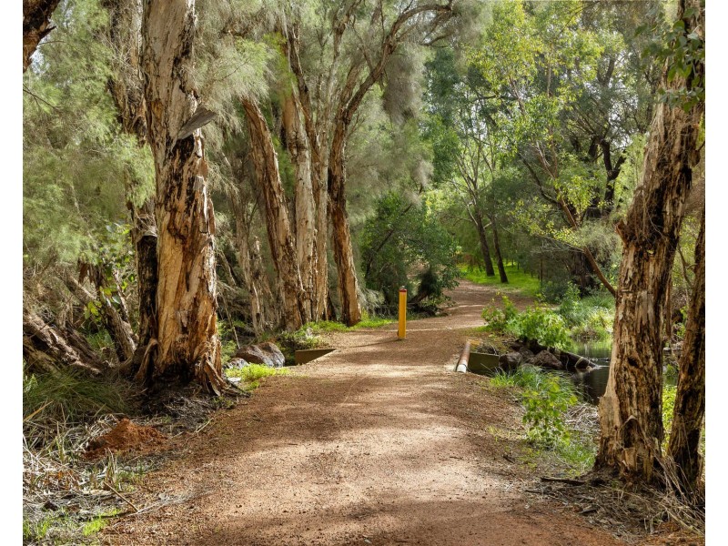 84 Carnaby Boulevard, Ginginup WA 6503