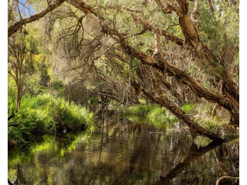 84 Carnaby Boulevard, Ginginup WA 6503