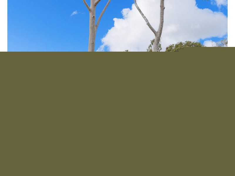 84 Carnaby Boulevard, Ginginup WA 6503