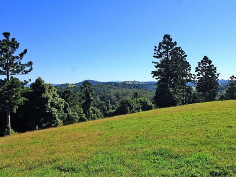 397 Slingbys Road, Megan NSW 2453