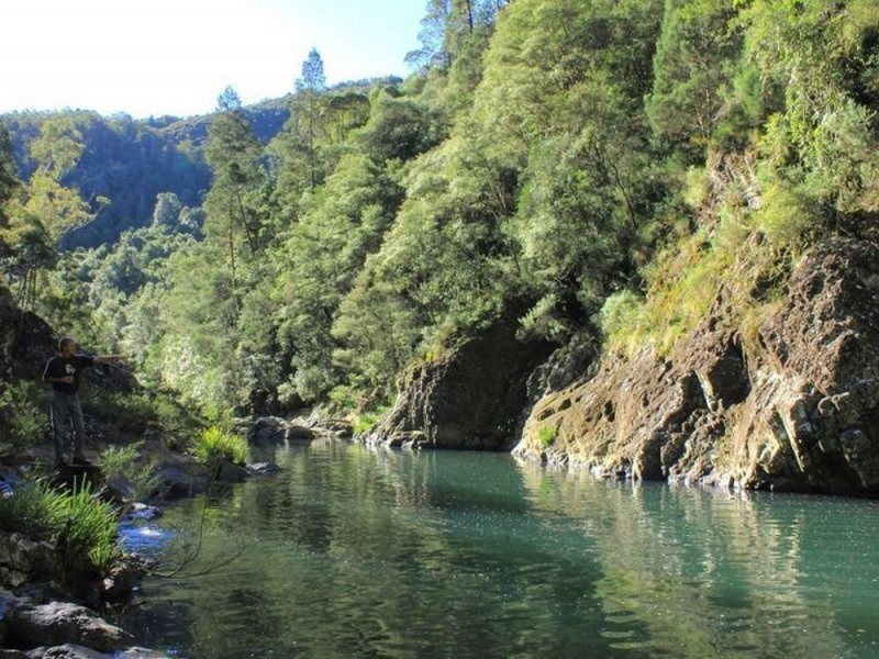 397 Slingbys Road, Megan NSW 2453