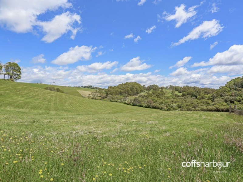 397 Slingbys Road, Megan NSW 2453