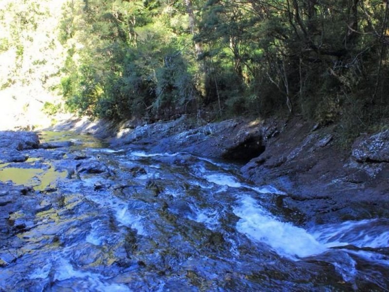 397 Slingbys Road, Megan NSW 2453