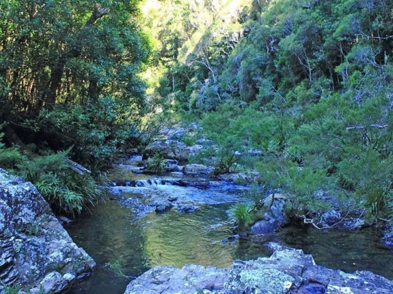 397 Slingbys Road, Megan NSW 2453