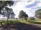 175 Adelaide St, Raymond Terrace NSW 2324