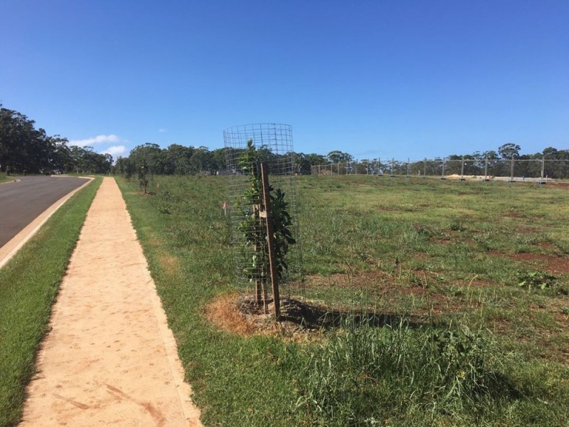 225 (Lot 917) The Ruins Way, Port Macquarie NSW 2444