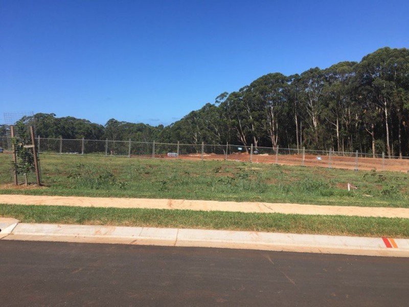 225 (Lot 917) The Ruins Way, Port Macquarie NSW 2444