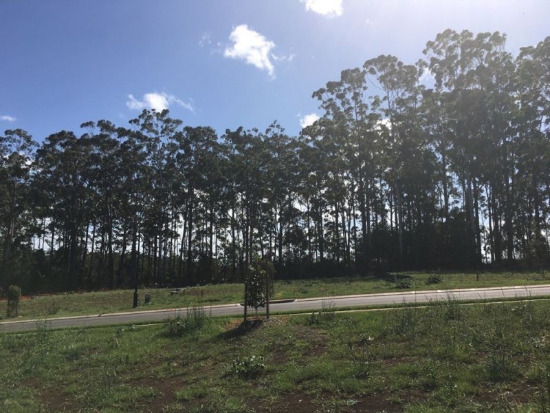 236 (Lot 928) The Ruins Way, Port Macquarie NSW 2444