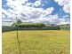 6 Argyle Avenue, Dubbo NSW 2830