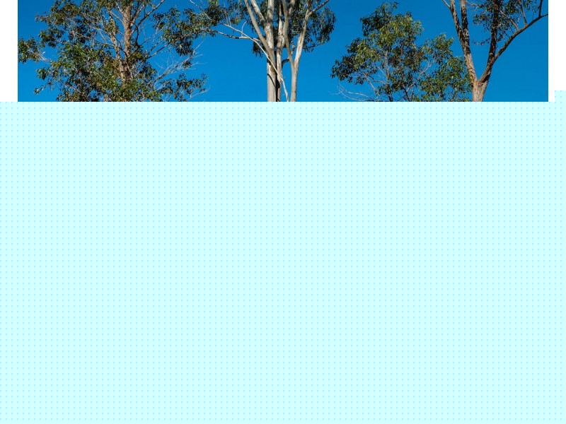 142 Huntingdon Road, Huntingdon NSW 2446