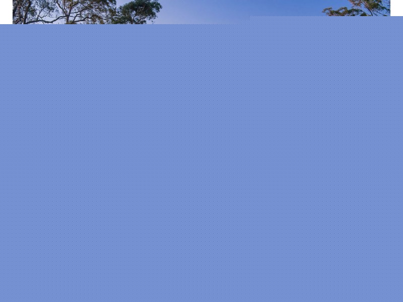 142 Huntingdon Road, Huntingdon NSW 2446