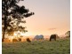 163 Redbank Road, Redbank NSW 2446