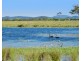 163 Redbank Road, Redbank NSW 2446