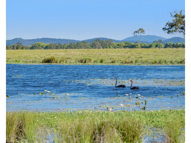 163 Redbank Road, Redbank NSW 2446