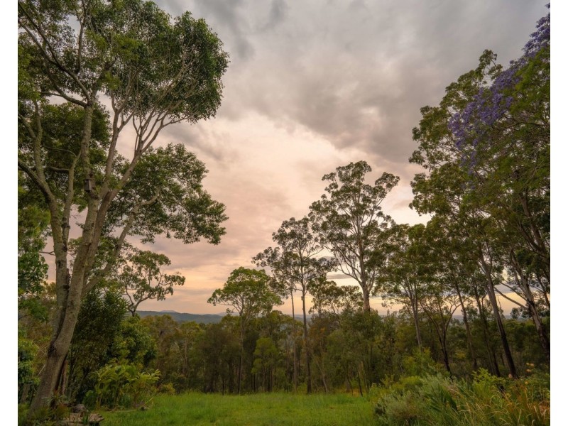 480 Red Hill Road, Cooperabung NSW 2441