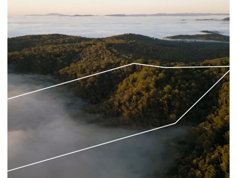 480 Red Hill Road, Cooperabung NSW 2441