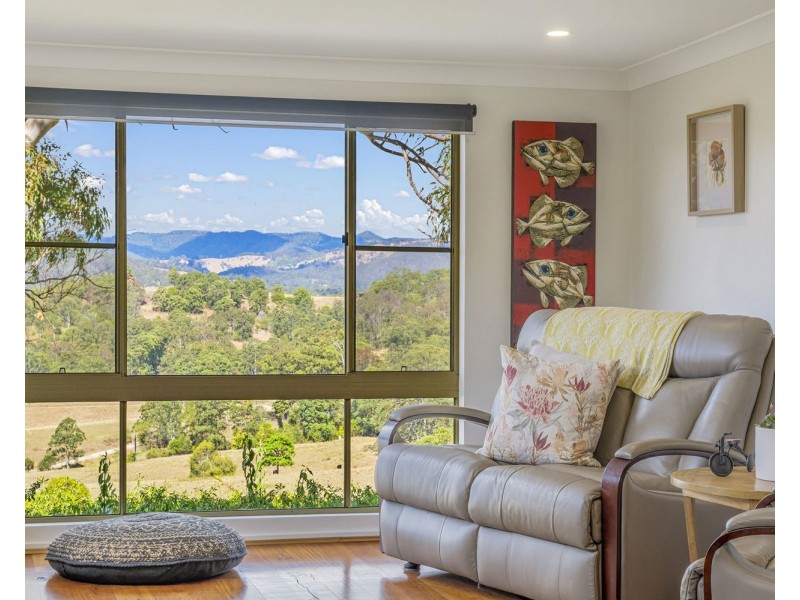 1298 Pipeclay Road, Pipeclay NSW 2446