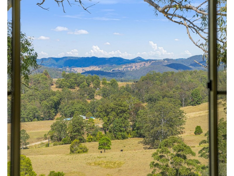 1298 Pipeclay Road, Pipeclay NSW 2446