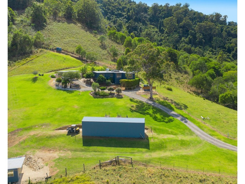 1298 Pipeclay Road, Pipeclay NSW 2446