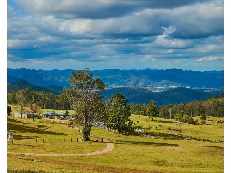 669 Costigans Road, Mount Seaview NSW 2446