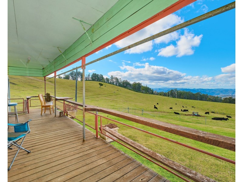 669 Costigans Road, Mount Seaview NSW 2446