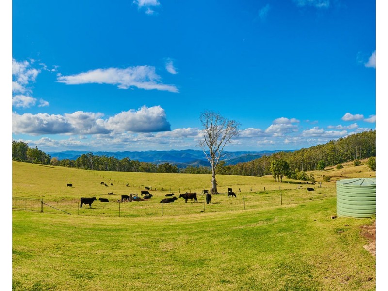 669 Costigans Road, Mount Seaview NSW 2446