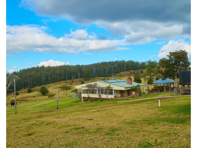 669 Costigans Road, Mount Seaview NSW 2446