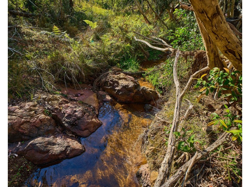 669 Costigans Road, Mount Seaview NSW 2446