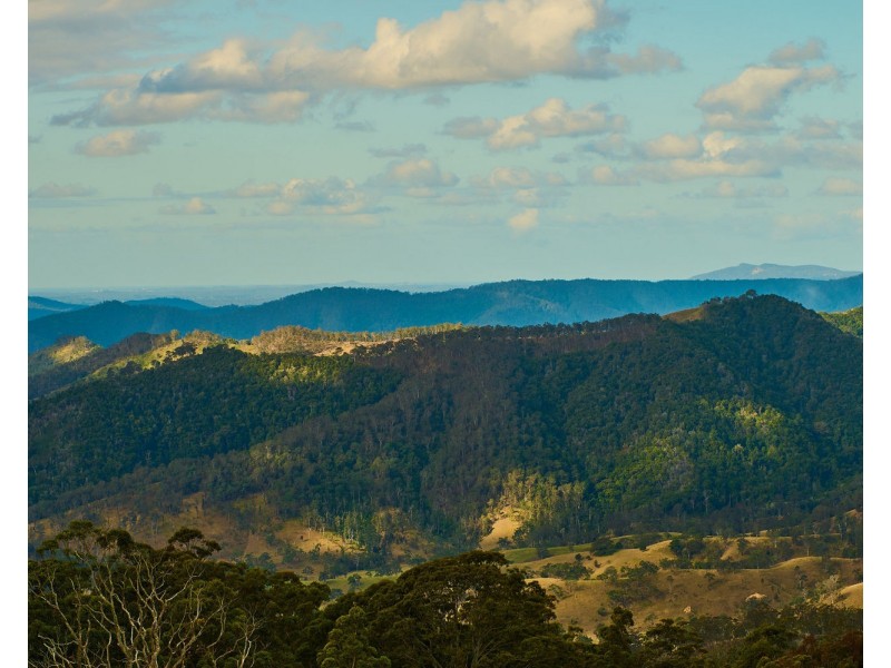 669 Costigans Road, Mount Seaview NSW 2446