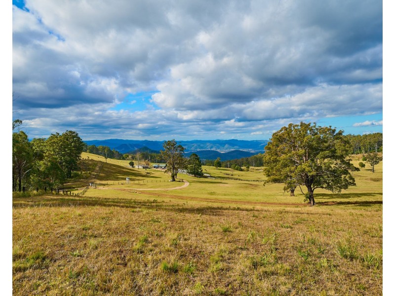 669 Costigans Road, Mount Seaview NSW 2446