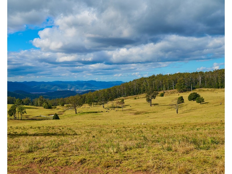 669 Costigans Road, Mount Seaview NSW 2446