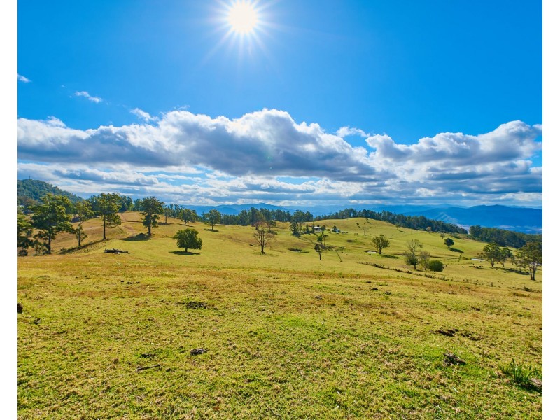 669 Costigans Road, Mount Seaview NSW 2446