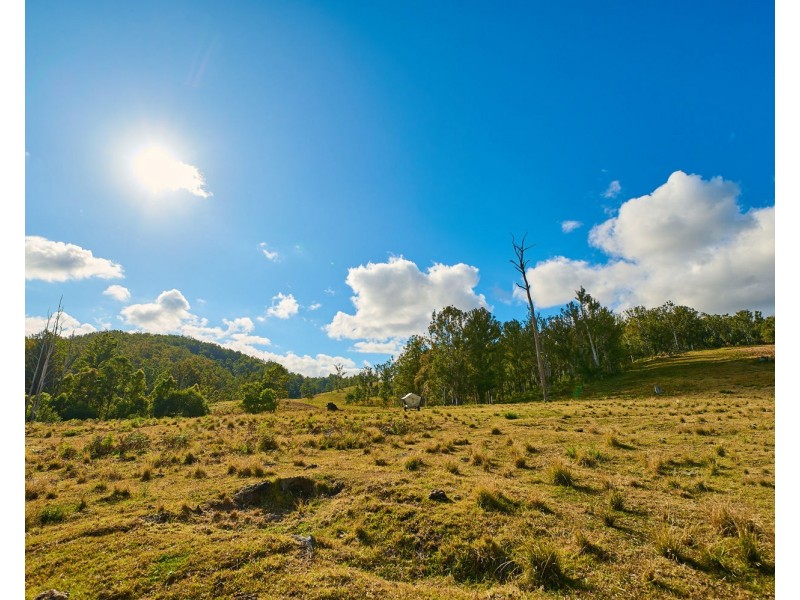 669 Costigans Road, Mount Seaview NSW 2446