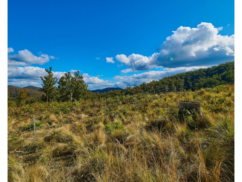 669 Costigans Road, Mount Seaview NSW 2446