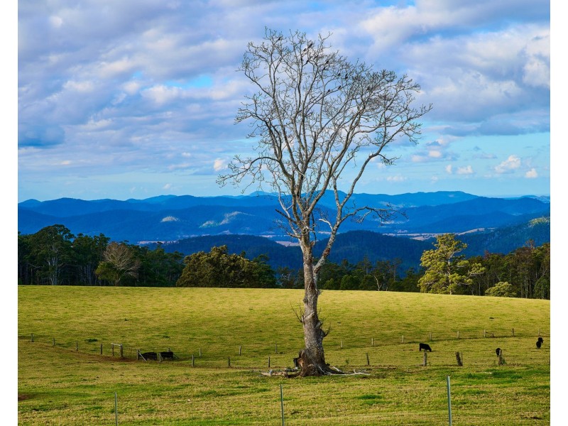 669 Costigans Road, Mount Seaview NSW 2446