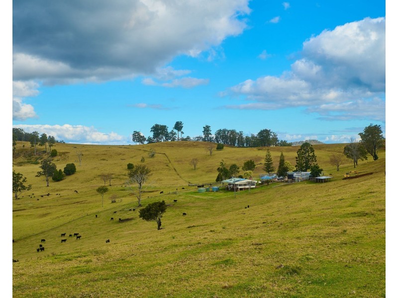 669 Costigans Road, Mount Seaview NSW 2446