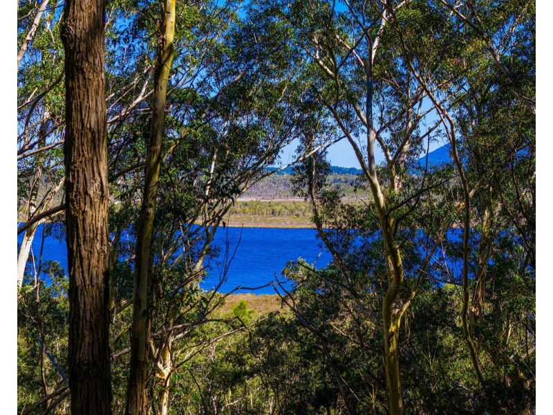 115 Kenwood Drive, Lake Cathie NSW 2445