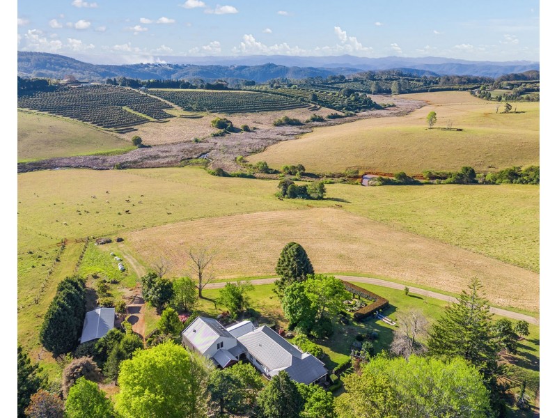 2308 Comboyne Road, Comboyne NSW 2429