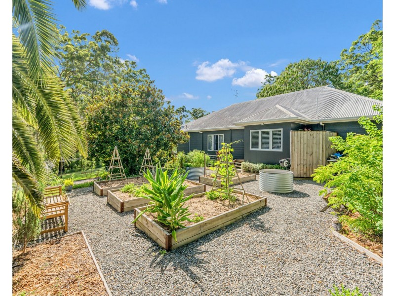 20 Settlers Place, Redbank NSW 2446