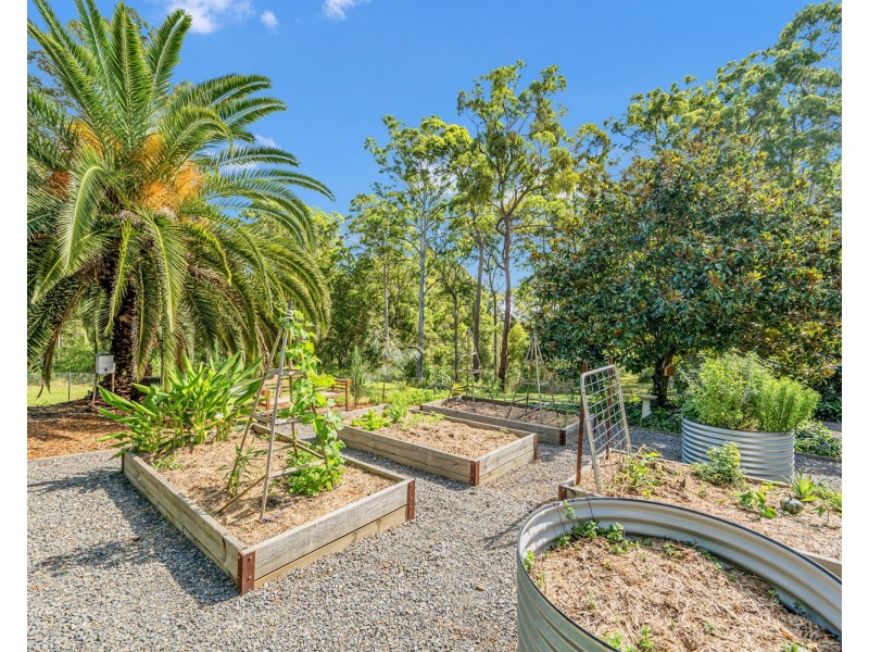 20 Settlers Place, Redbank NSW 2446