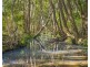 86 Myall Scrub Creek Road, Ballengarra NSW 2441