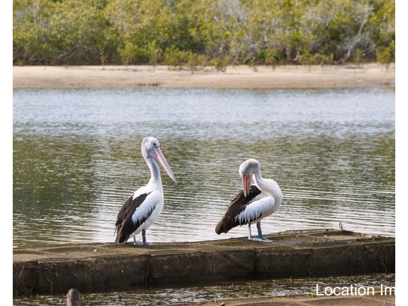 42 Janggal Janggal Road (Lot 115 Bellbird), Nambucca Heads NSW 2448
