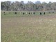 Dunedoo NSW 2844