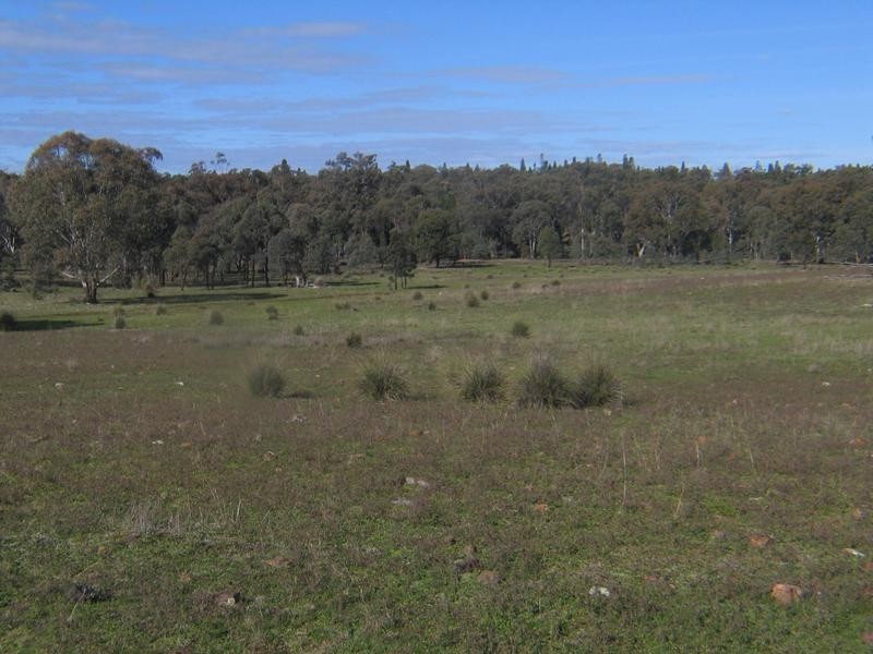 Dunedoo NSW 2844