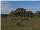 Dunedoo NSW 2844