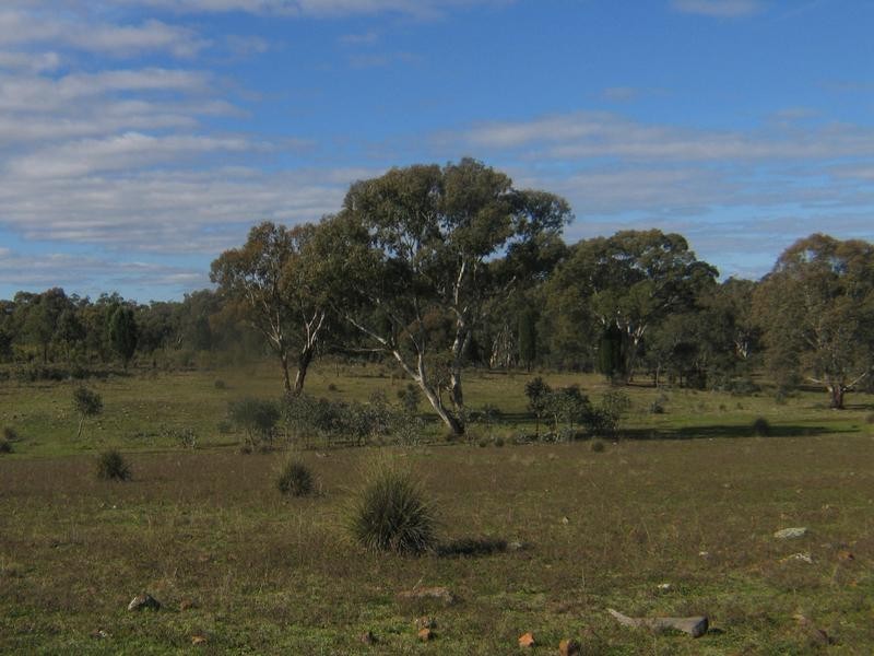 Dunedoo NSW 2844