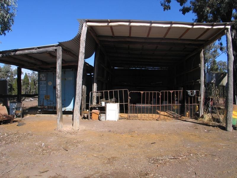 Dunedoo NSW 2844